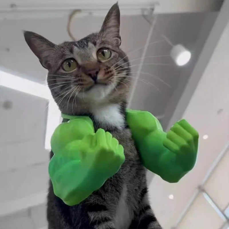 Funny Cat Muscle Arm